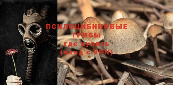 шишки Волосово