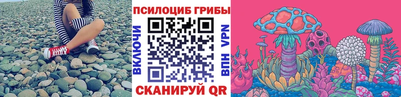 Купить где  Кудрово  Псилоцибиновые грибы Cubensis 